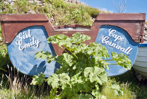 Jonathan Langran, Girl Emily, Priest Cove