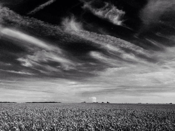 Jonathan Langran, Poitou Charente 2015