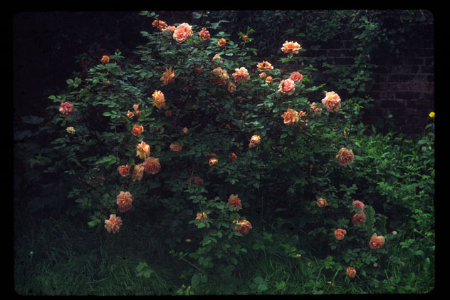 Haverstock Hill 1980