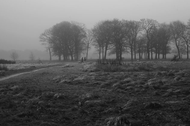 Jonathan Langran, Dalmatian Frost 2 