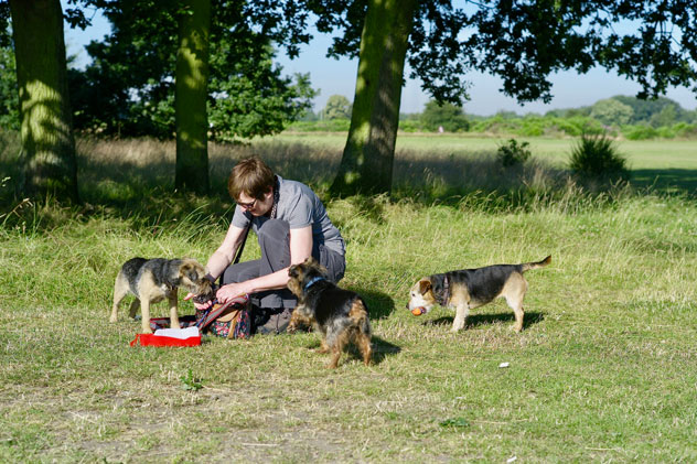 Jonathan Langran, Lady Offering a Drink