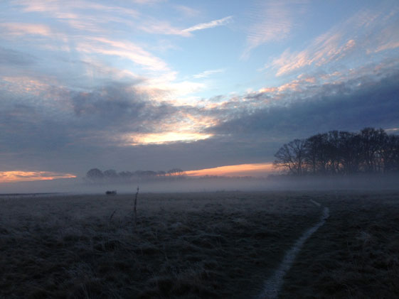 Jonathan Langran, Morning Mist 2